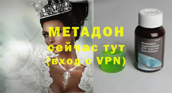 твердый Гусев
