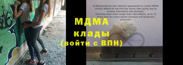 твердый Гусев