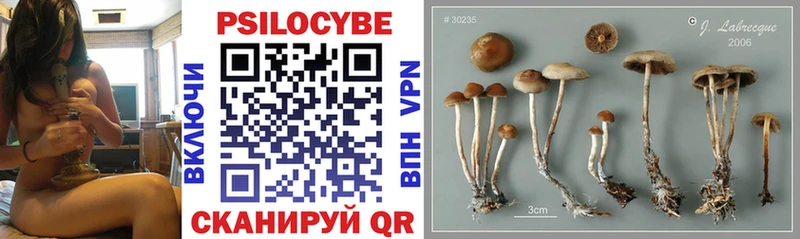 Галлюциногенные грибы Magic Shrooms  магазин  наркотиков  Черняховск 